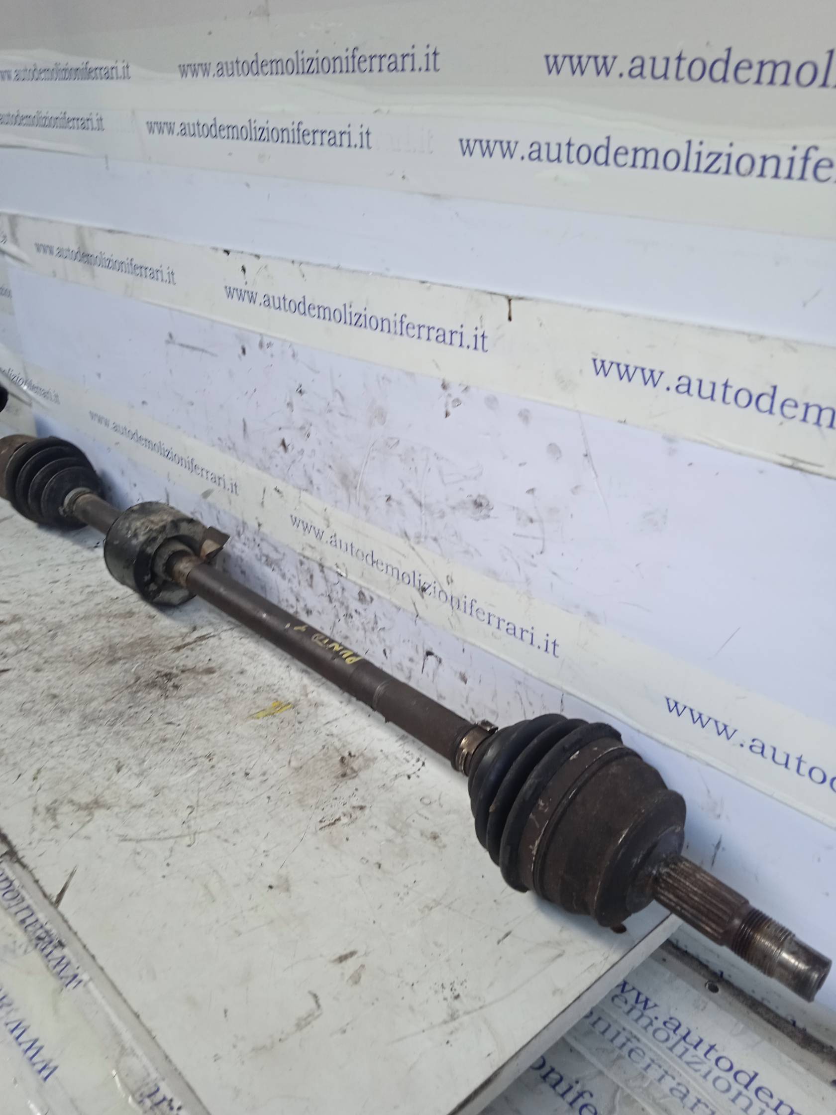 Semialbero ant. compl. dx. Semialbero ant. compl. dx.